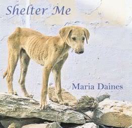 Image: Shelter Me