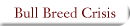 Bull Breed Crisis